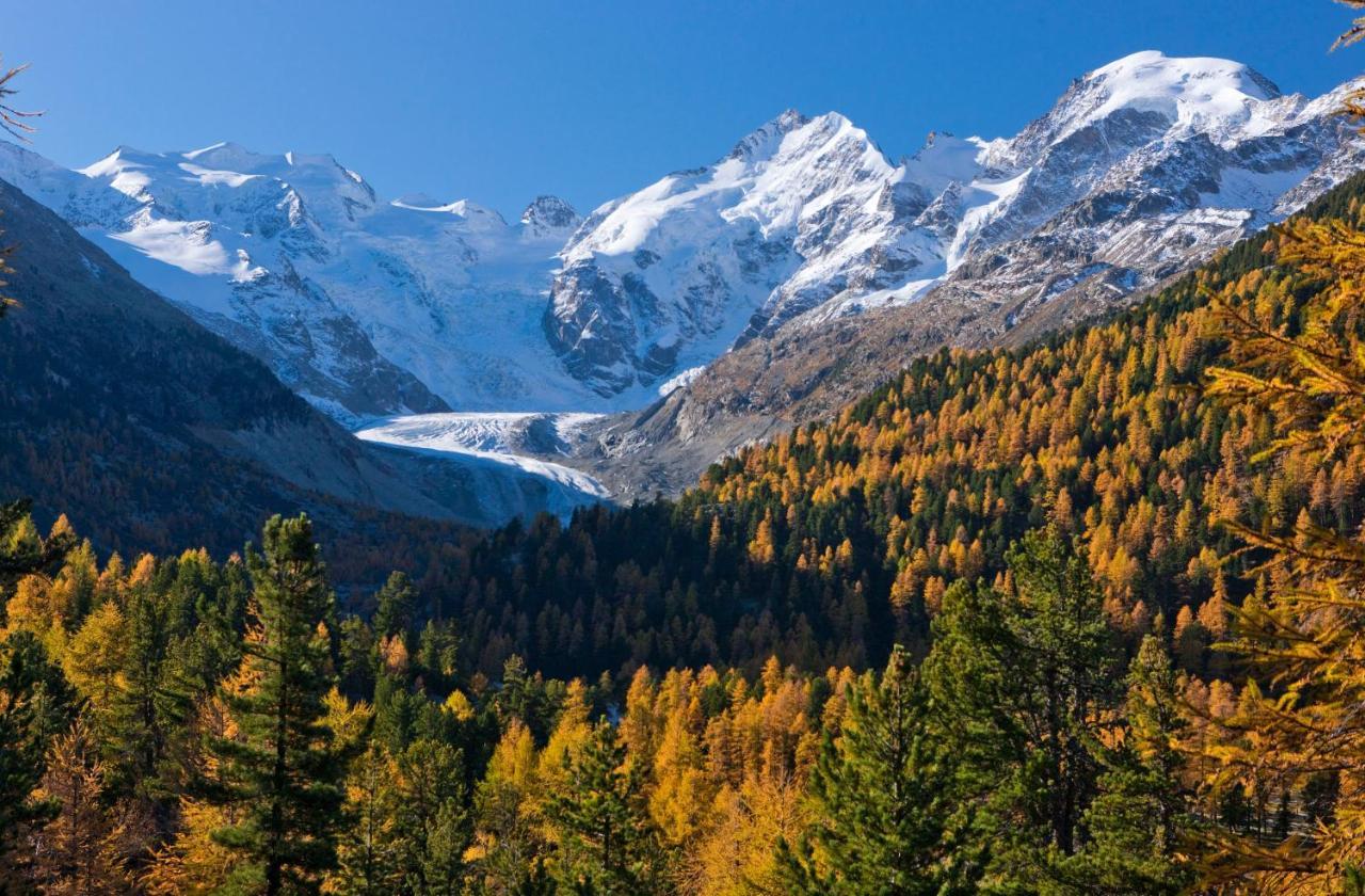 Hotel Chesa Surlej Сильваплана Экстерьер фото